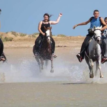 Royal Beach Resort, הורגהדה מראה חיצוני תמונה